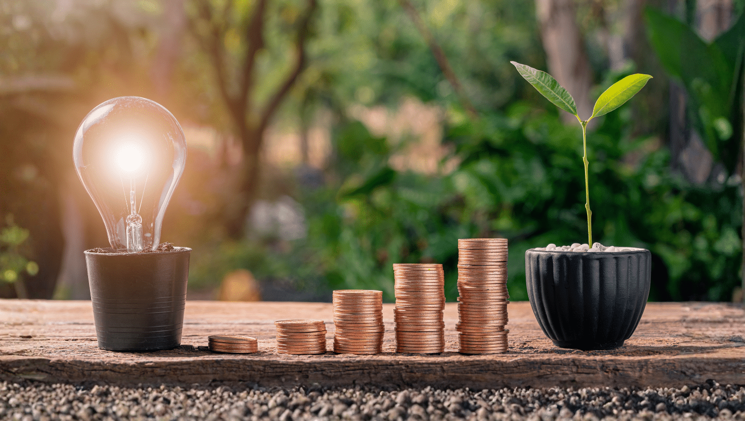 Growing an Electrical Business